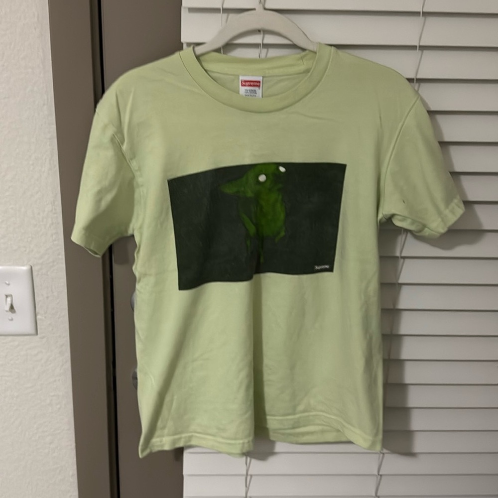 Supreme Chris Cunningham Chihuahua Tee 'Pale Mint'